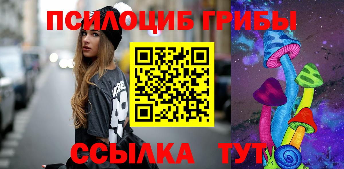 Псилоцибиновые грибы Psilocybe  Вход с VPN  Новокуйбышевск  Галлюциногенные грибы мухоморы 